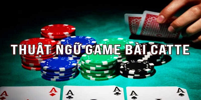 Luật chơi Catte cơ bản: Giới thiệu tổng quan và các thuật ngữ quan trọng