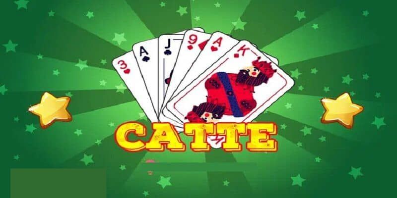 Cách chơi Catte chi tiết từng bước: Từ chuẩn bị đến kết thúc ván bài