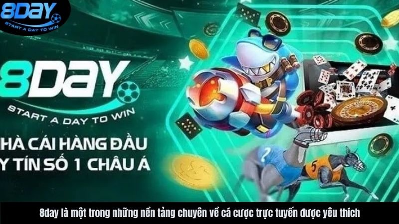 Giao diện người dùng và trải nghiệm chơi game tại Casino 8day năm 2025: Đánh giá về thiết kế, tốc độ tải trang và tính dễ sử dụng.