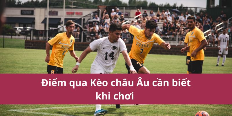 Các yếu tố ảnh hưởng đến soi kèo Châu Âu năm 2025